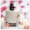 Funny Cheap Wedding Bride and Groom Cake Topper Figurine