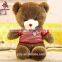 soft plush teddy bears with DIY knit strip sweater