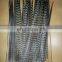 best quality 14-16inch pheasant feathers