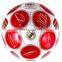 Machine Stitched Shiny Size#5 PVC Football/Soccer Ball