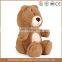 Soft Sitting 70cm Plush Honey Teddy Bear Wit CE/ASTM Standard