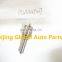 Injector Sprazy Nozzle DLLA134P007 with other No.0433171159