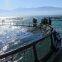Floating Net Cage Hdpe Fish Cages Net Cage Fish Farming
