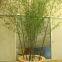 Artificial Bamboo Tree