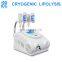 Mini style 2 cryo handles weight loss cryolipolysis machine for sale