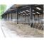 Prefab Steel Structure Cheap New Design Farm Cow Building Cattle Shed