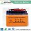 Anti-theft Screw Professional Manufacuturer Lead-acid Solar Battery Price