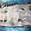 Wholesale frozen whole round sardine fish block for bait