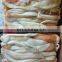 squid egg frozen giant squid roe giant squid egg 1kg 2kg