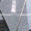 Natural Polishing Chinese Granite G603 Light Grey Granite for Floor