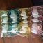 Quality BPA Free Wholesale Silicone Adult Pacifier with different sizes, weight and colour