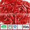 New Generation Chinese Red Chilli of Tianying Red Chilli