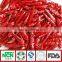 Tianying Red Chilli with Spicy Degree of 35000 SHU
