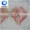 best selling products frozen stingray fish/Raja Porosa fillet