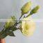 Fragrant aroma hot selling lisianthus seeds for sowing