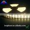 High lumen 12v SMD 5050 Dual White ( Pure white + warm white ) LED Strip Light