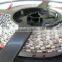 manufacture auto LED strip light
