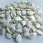 China,InnerMogolia,2015,high quality,Green Snow White Pumpkin Seeds for human consumption