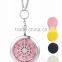 2016 New Arrival 316L Stainless Steel Snowflake Aromatherapy Essential Oils Diffuser Locket Necklace Pendant