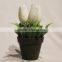 Bulk Fake Artificial Potted Plastic Flower Bouquet White Tulip in Plastic Planter for Sale