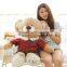 cute soft plush teddy bear