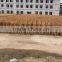 wooden sweeping broom handle,wooden broom handles with plastic coated