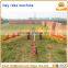 Farm machinery tractor rake hay rake tines / hay tedder