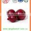 Export bulk chinese Best quality fresh red onion