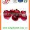 Export bulk chinese Best quality fresh red onion