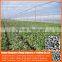 Chinese Factory pe Greenhouse Anti Insect Proof Net , Plastic Vegetable Anti Insect Net , Nylon Agricultural Anti Insect Net