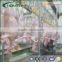 Halal Stainless Steel Poultry Abattoir and Slaughterhouse Machines and Equipment