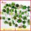 85 Different kinds Mixed Artificial succulent plants DIY Spring Collection