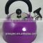 Colorful stainless steel kettle