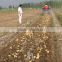 Research and development of manufacturers one row potato harvester/ cheap price mini potato harvester with walking tractor