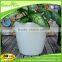 Garden large size plant containers big plastic pots