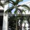 Hot sale artificial palm tree with new design and real touch,indoor or outdoor