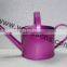 Watering Canes New Design, Wholesale Watering Canes Manufacturer