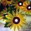 non-woven fabrics holiday decoration sunflower high bright color made in china best seller holiday decoration light sets