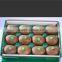 Made In China Plastic Material and Tray Type Food Grade Blister Packaging For Fruits And Vegetables