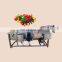 vegetable washing machine industrial carrot washer machine automatic fruit and vegetable washer