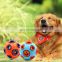 Vocal Bite-Resistant Puppies Glowing Funny Dog Toy Ball Pet Supplies Plum Ball Dog Toy Ball
