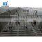 Pig farm Equipment SS Pig Piglet cup drinker with stainless steel nipple