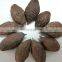 Orangutan seeds/Organic Dried Malva Nut/Malva nut tree (Sterculia lychnophora) From Vietnam