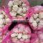 A Grade 3*3mm IQF Garlic Puree Frozen Garlic Puree Cube
