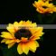 New Outdoor Waterproof Flowers Landscape Lamps Decorative Solar Light Led for Garden Sunflower Stake Lawn Lights