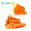Sephcare Bulk Food colorants pure natural pigment Carrot extract beta carotene powder with best price