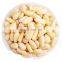 Byloo latest price current market china international selling price trade online ali  pine nuts price per ton