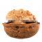 CHINA USA  TURKEY MEXICO UKRAINE CHILE INDIA DUBAI Walnut in shell and kernel raw and roasted walnut price