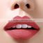 Sexy long lasting waterproof private label Herby cosmetics lipstick matte lipstick