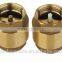 brass spring check valve with plastic core or brass core